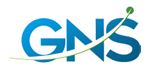 Global Net Services